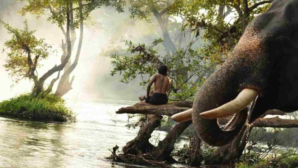 Kumki_2_Official_Trailer
